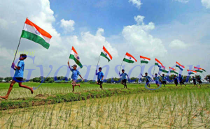 Indian Flag33