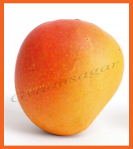 Sinduri Mango--2